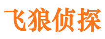 静安婚外情调查取证